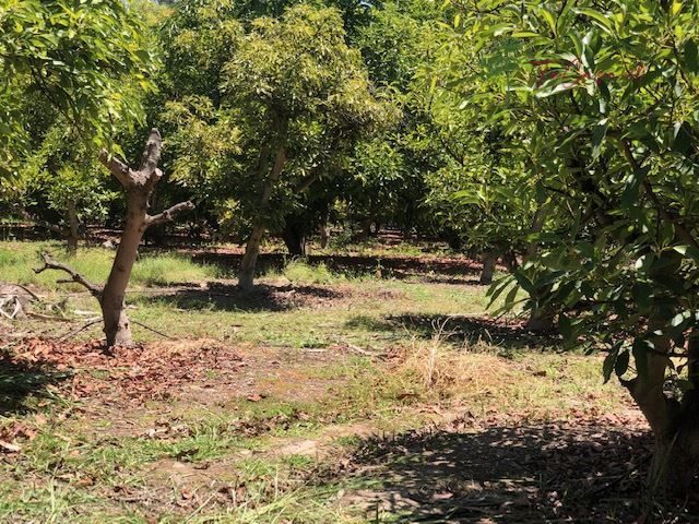 Parcela en venta en Talagante — foto 2