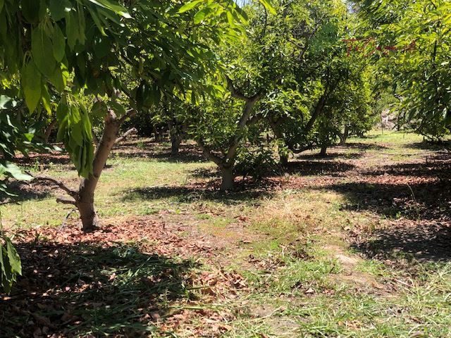 Parcela en venta en Talagante — foto 4
