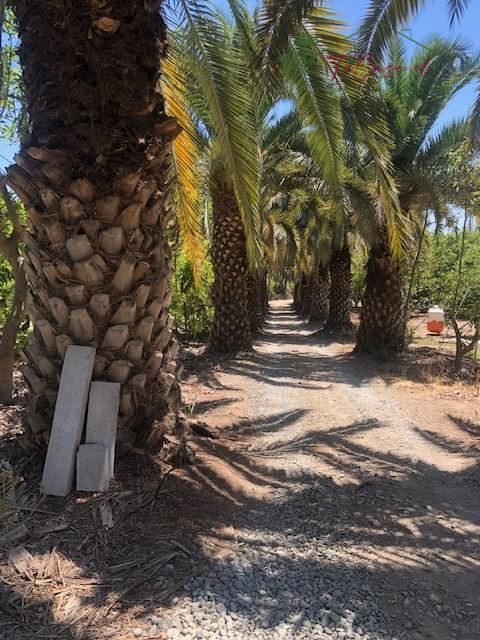 Parcela en venta en Talagante — foto 5