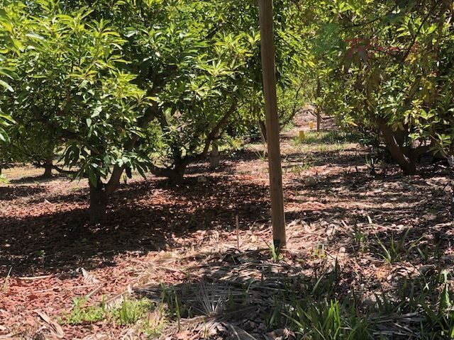 Parcela en venta en Talagante — foto 6