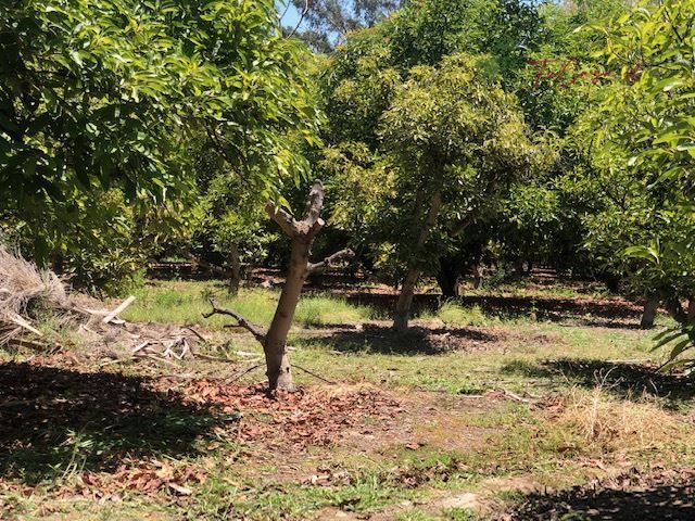 Parcela en venta en Talagante — foto 7
