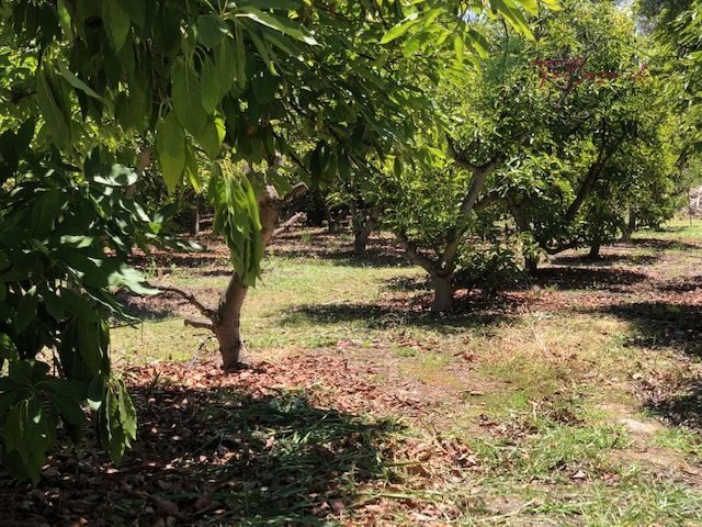 Parcela en venta en Talagante — foto 8