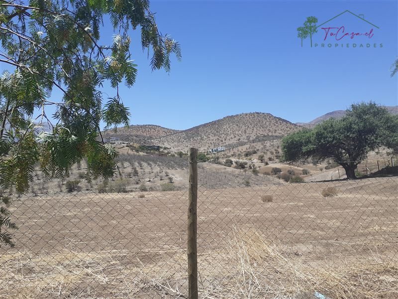 Parcela en venta en Colina — foto 6