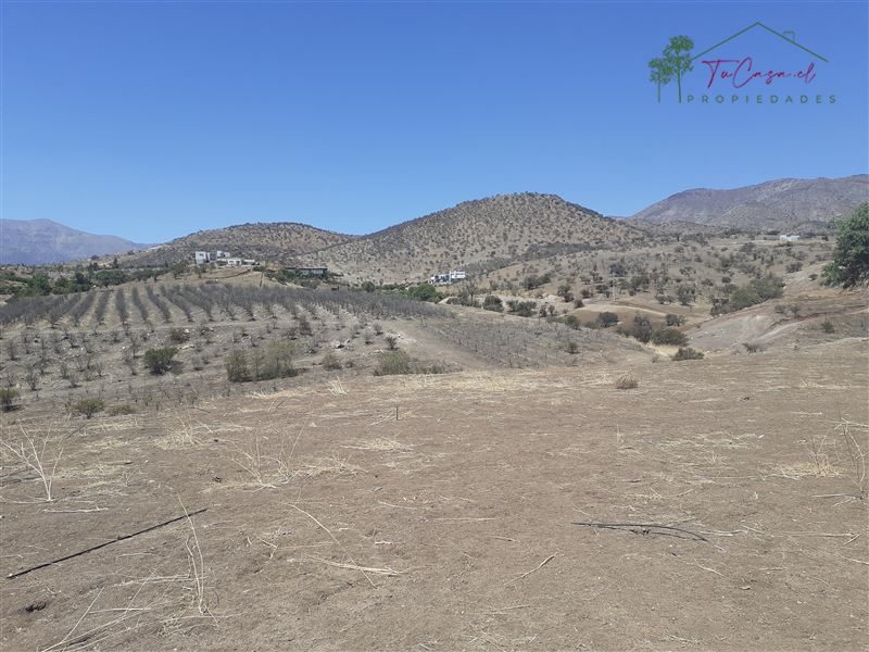 Parcela en venta en Colina — foto 9
