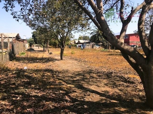 Terreno en venta en El Monte — foto 10
