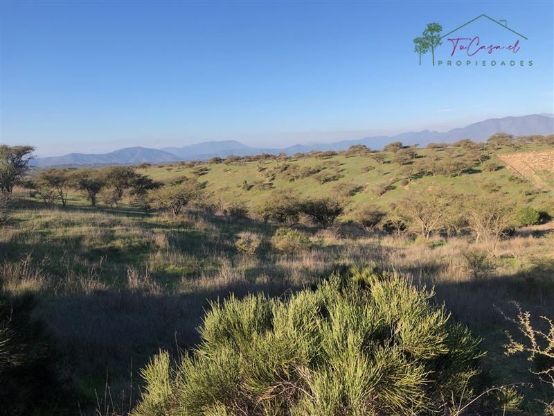 Campo en venta en Melipilla — foto 4