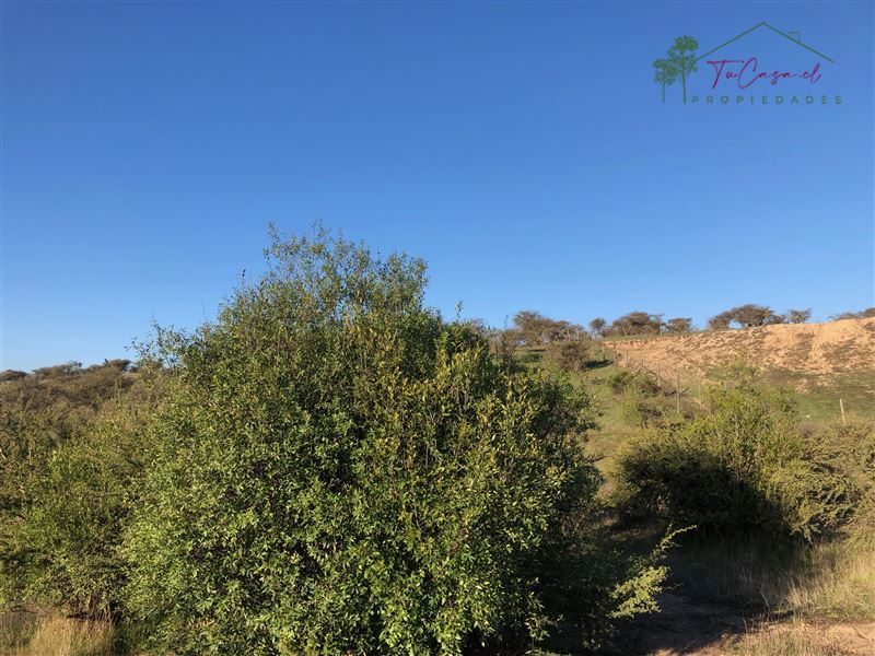 Campo en venta en Melipilla — foto 5