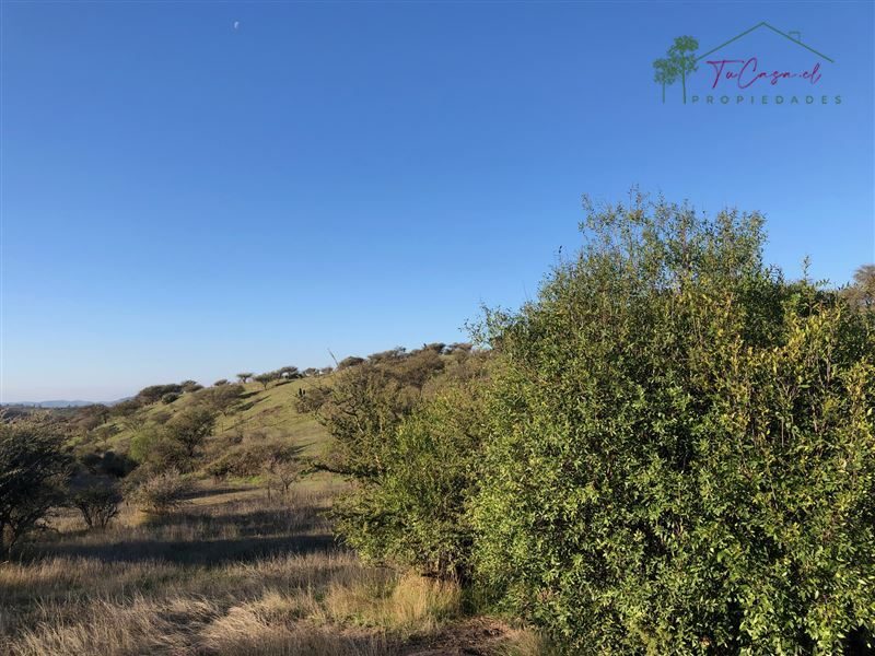 Campo en venta en Melipilla — foto 6