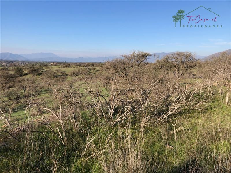 Campo en venta en Melipilla — foto 9