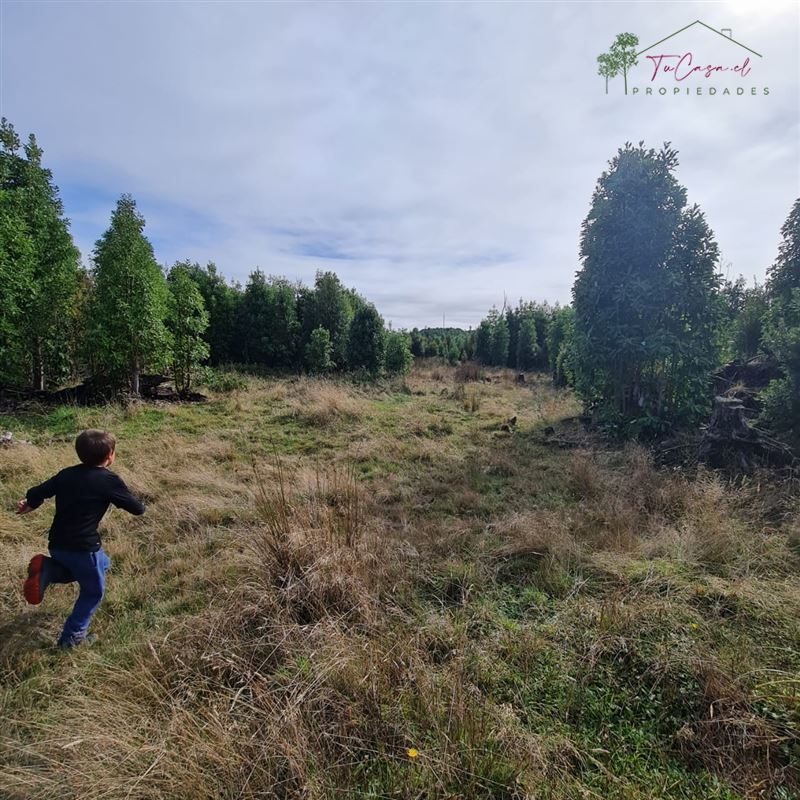 Terreno en venta en Ancud — foto 4