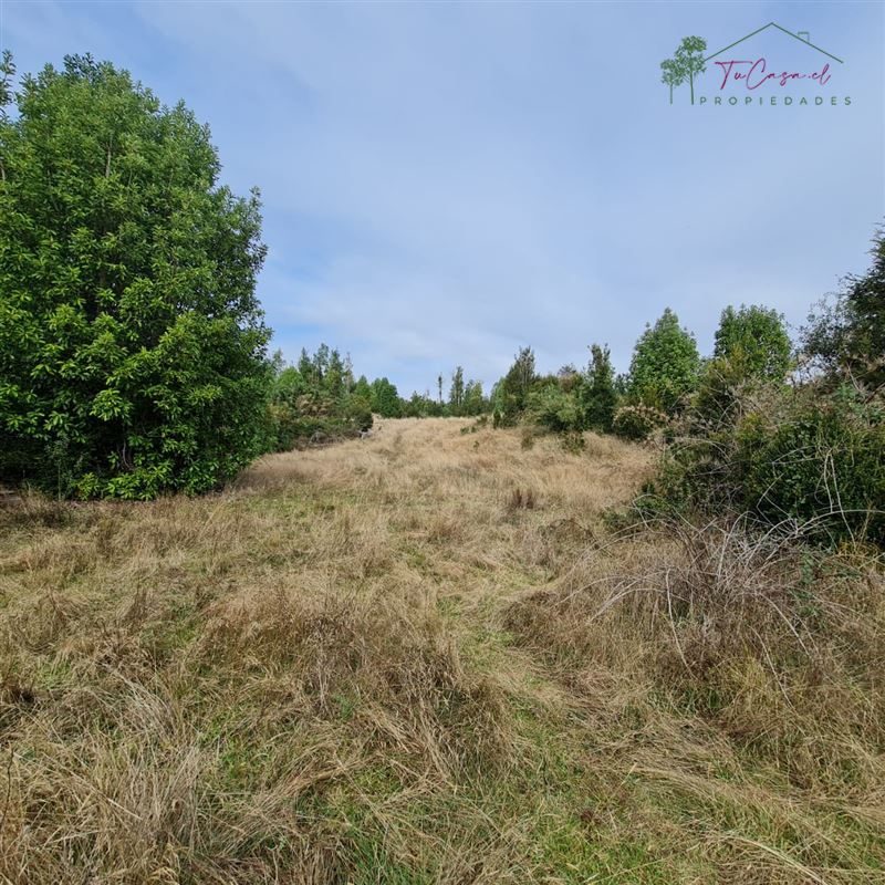 Terreno en venta en Ancud — foto 5