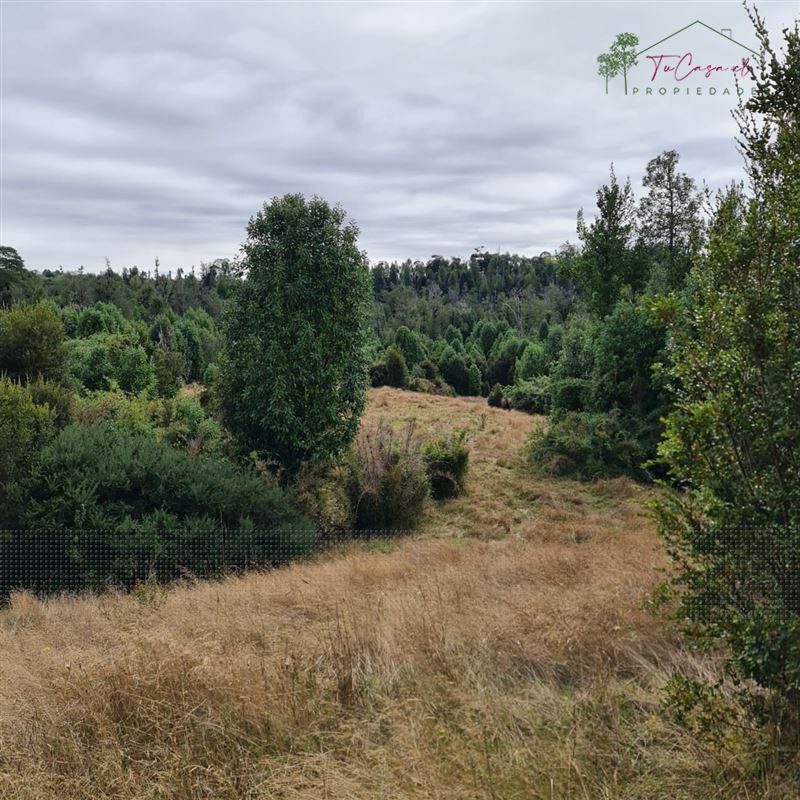 Terreno en venta en Ancud — foto 7