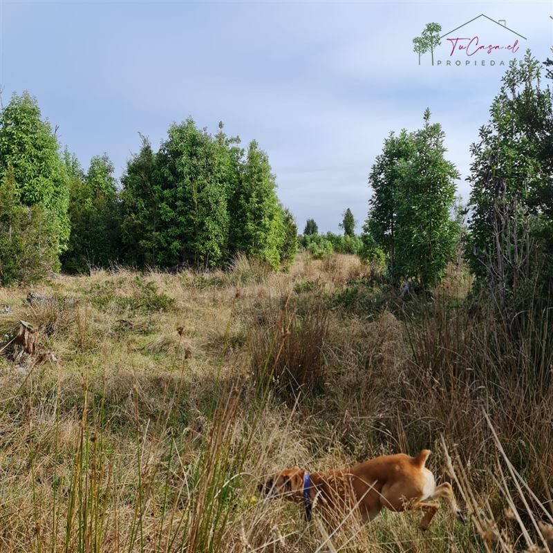 Terreno en venta en Ancud — foto 9