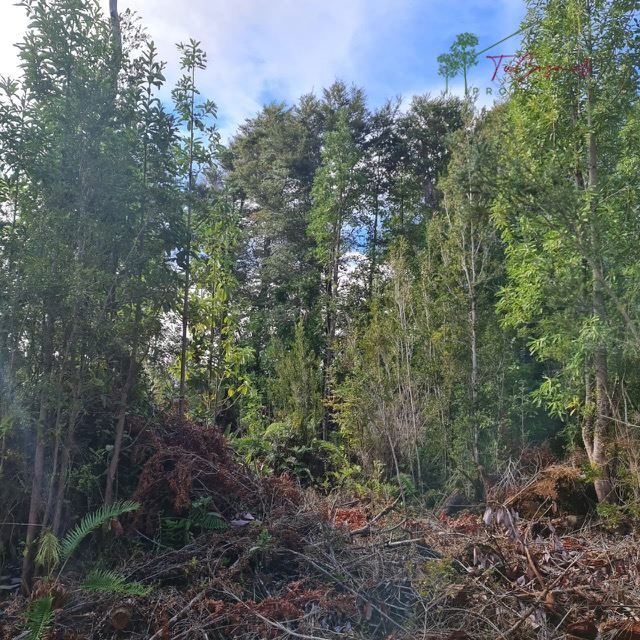 Terreno en venta en Ancud — foto 10