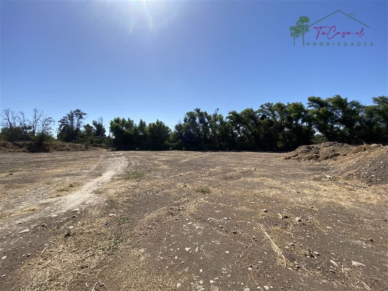 Parcela en venta en Talagante — foto 6