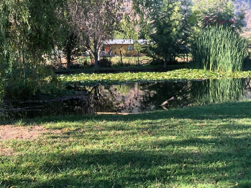 Parcela en venta en Melipilla — foto 3