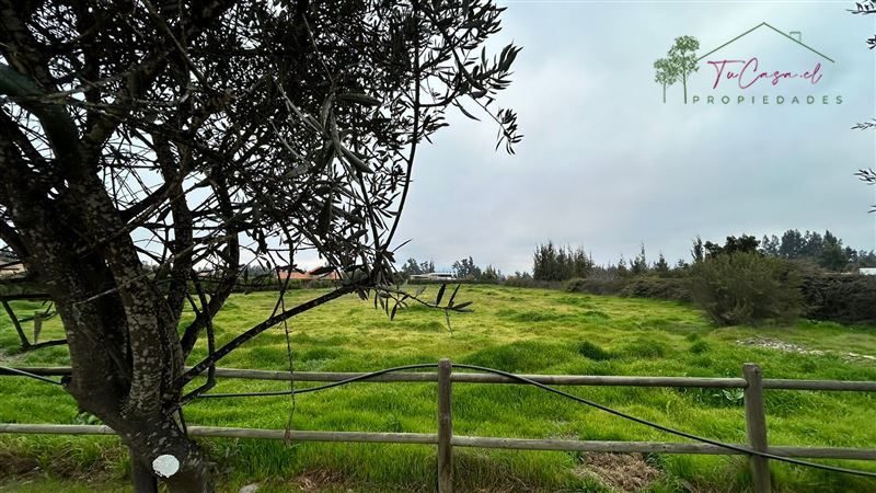 Parcela en venta en Talagante — foto 7