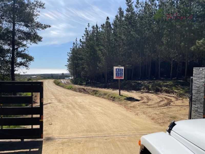 Parcela en venta en Pichilemu — foto 1