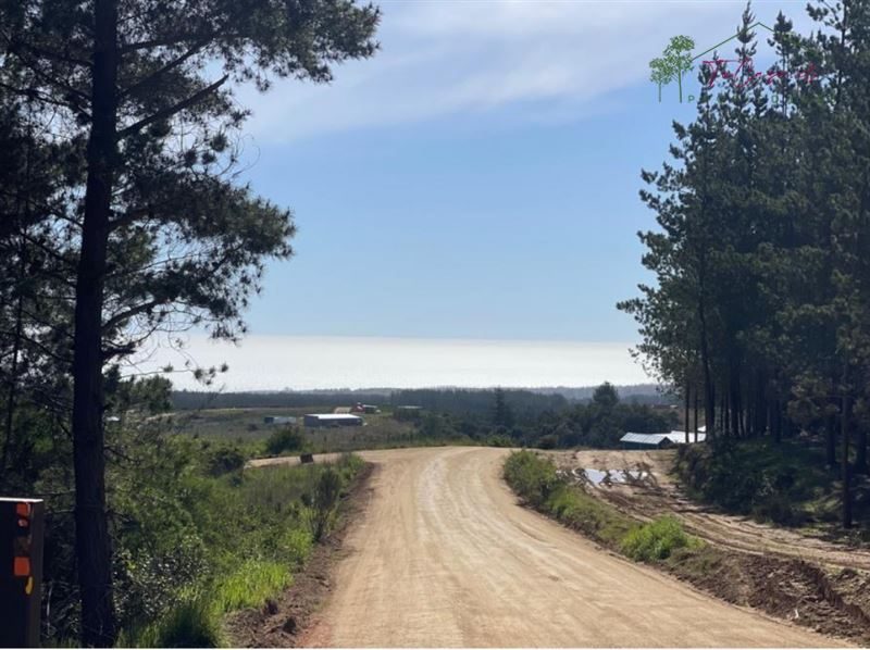 Parcela en venta en Pichilemu — foto 2