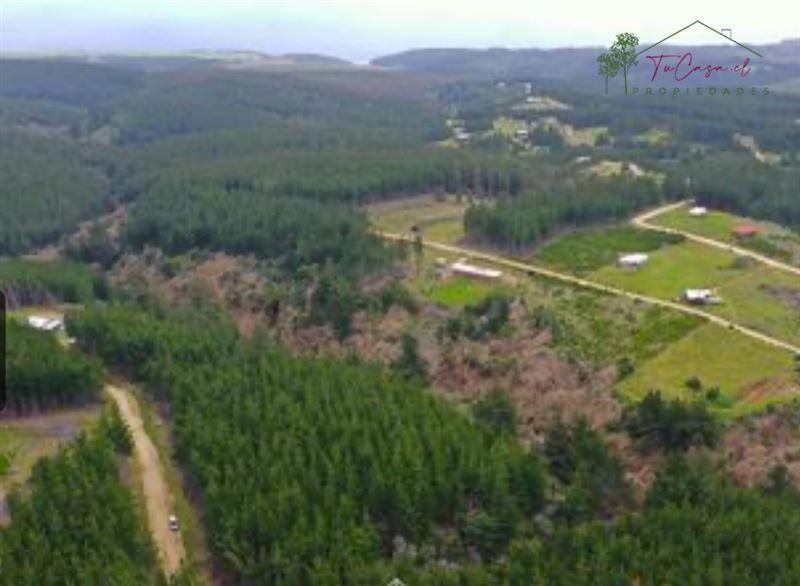Parcela en venta en Pichilemu — foto 4