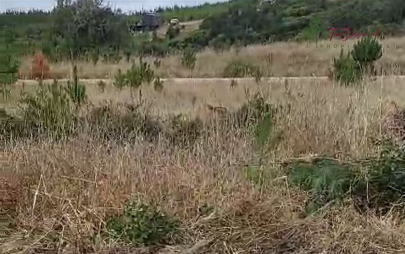Parcela en venta en Pichilemu — foto 5