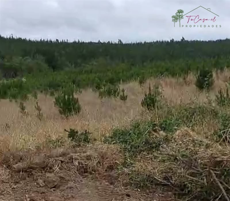 Parcela en venta en Pichilemu — foto 7