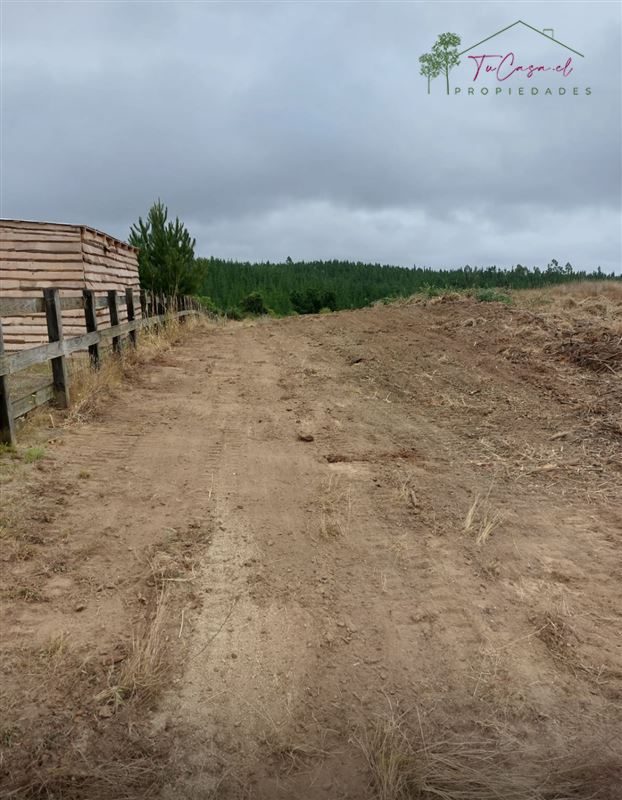 Parcela en venta en Pichilemu — foto 8