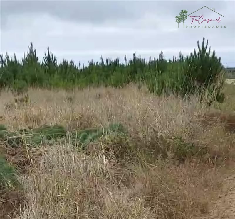 Parcela en venta en Pichilemu — foto 9