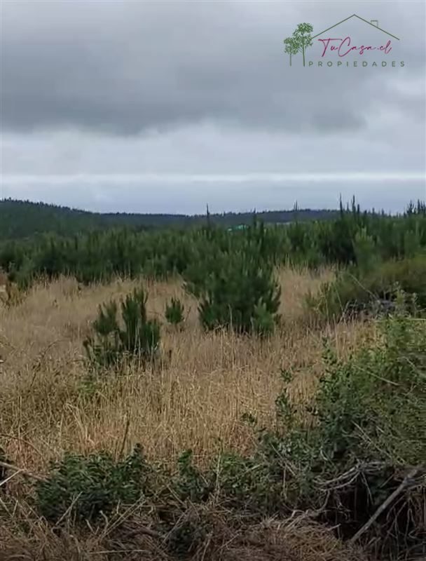 Parcela en venta en Pichilemu — foto 10