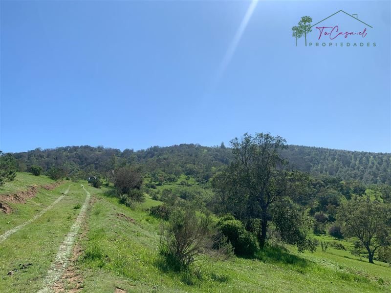 Parcela en venta en La Ligua — foto 7