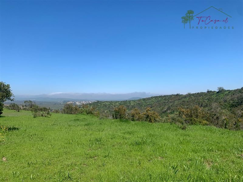 Parcela en venta en La Ligua — foto 8
