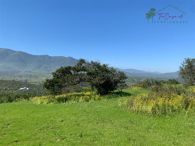 Parcela en venta en La Ligua — foto 9