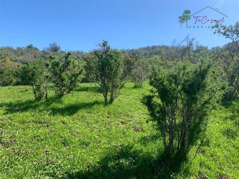 Parcela en venta en La Ligua — foto 10