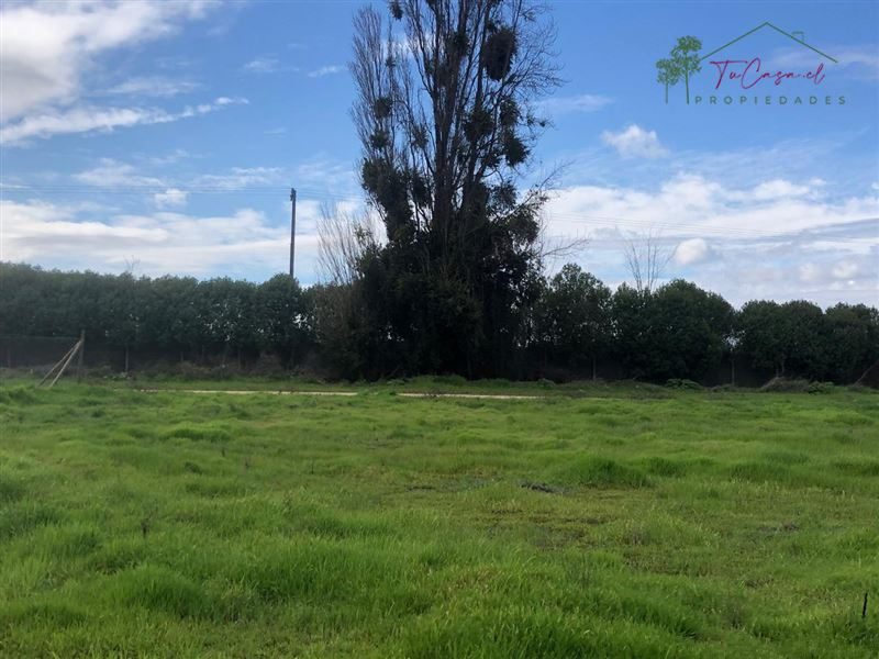 Parcela en venta en Talagante — foto 5
