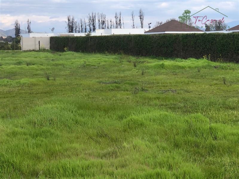Parcela en venta en Talagante — foto 6