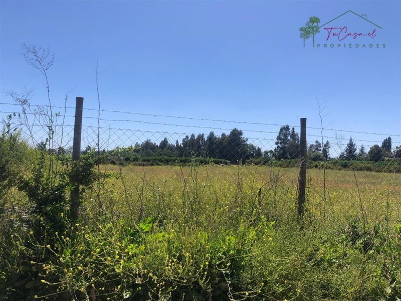 Parcela en venta en Calera de Tango — foto 6