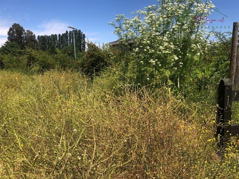 Parcela en venta en Calera de Tango — foto 8