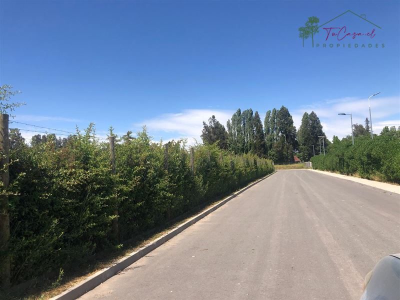 Parcela en venta en Calera de Tango — foto 10