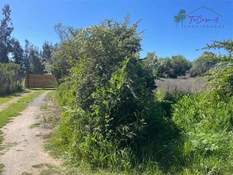 Parcela en venta en Isla de Maipo — foto 3