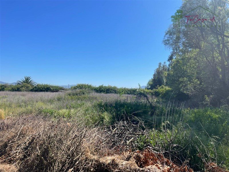 Parcela en venta en Isla de Maipo — foto 9