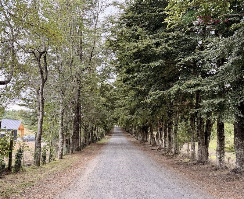 Parcela en venta en Pucón — foto 4
