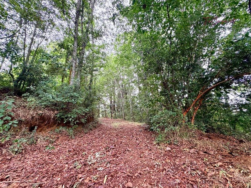 Parcela en venta en Pucón — foto 8