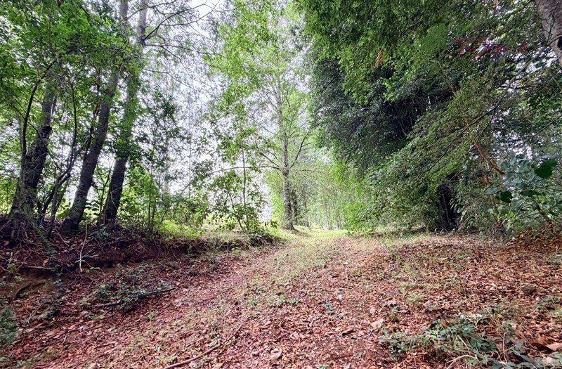 Parcela en venta en Pucón — foto 10