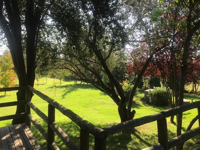 Casa en venta en Melipilla — foto 9