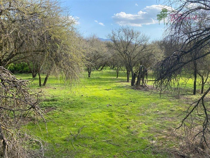 Parcela en venta en Curacaví — foto 6