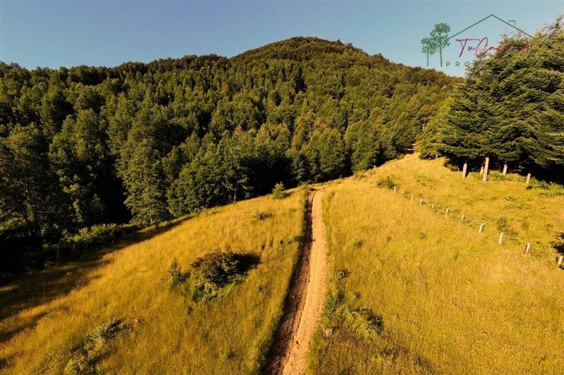 Campo en venta en Pucón — foto 2