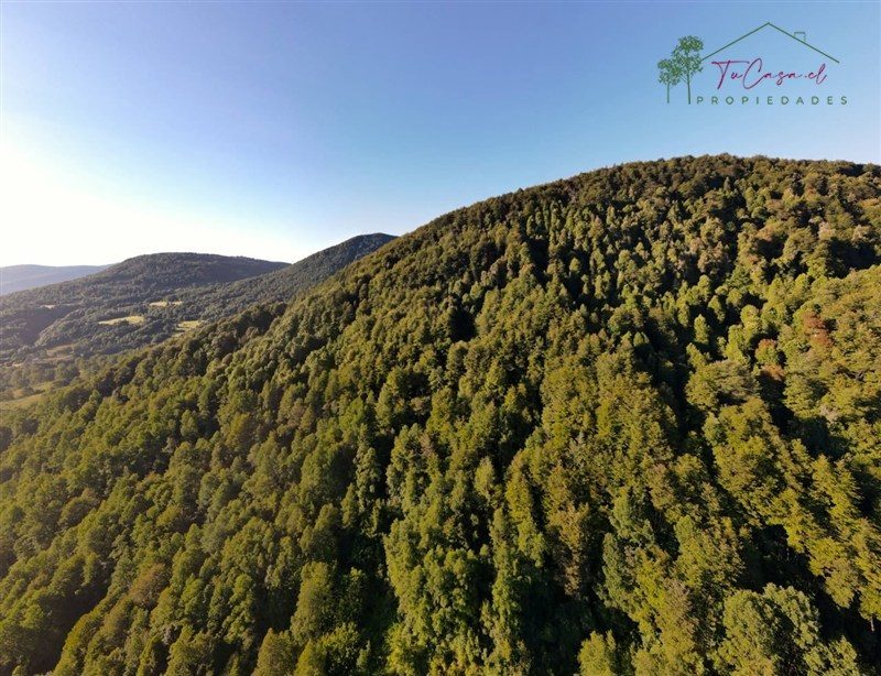 Campo en venta en Pucón — foto 8