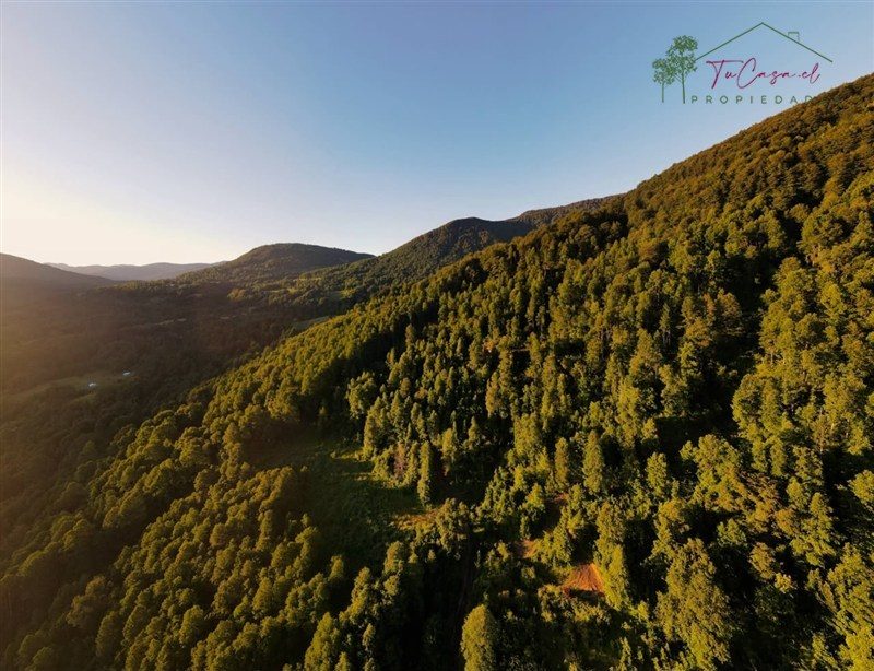 Campo en venta en Pucón — foto 10