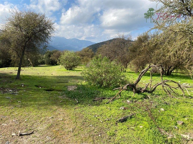 Parcela en venta en Curacaví — foto 5