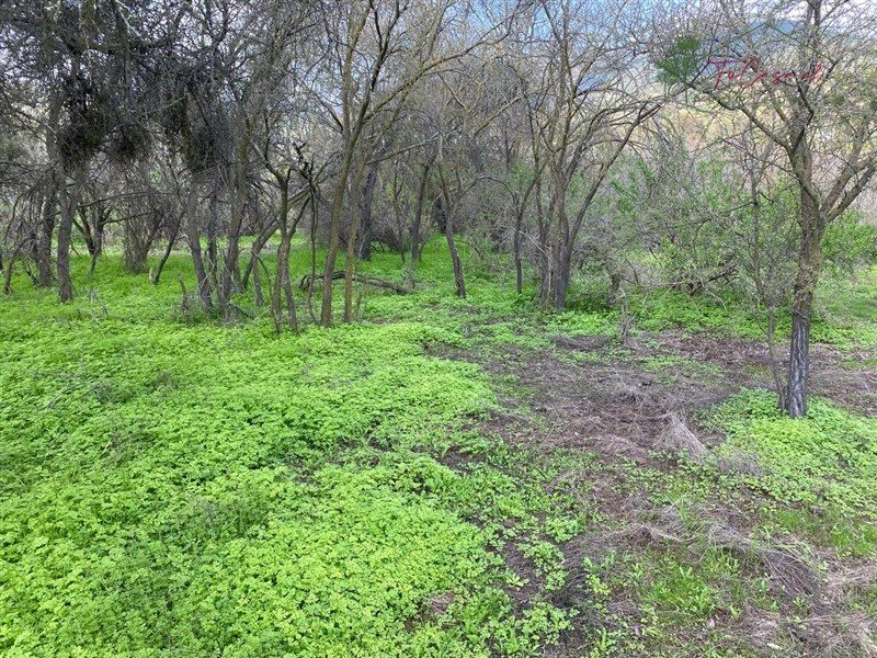 Parcela en venta en Curacaví — foto 9